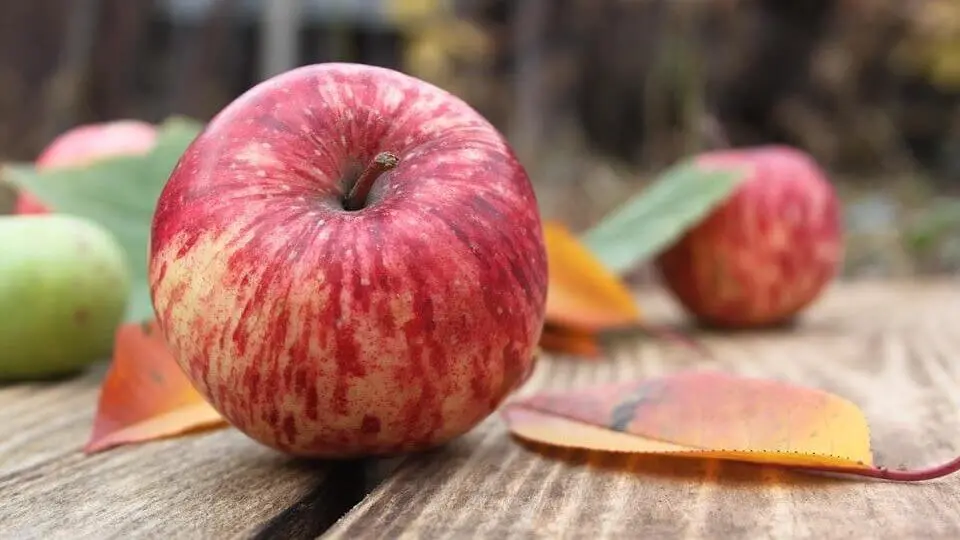 Manzana Verde